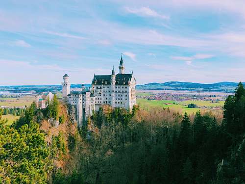 building castle above hill surrounded by trees castle