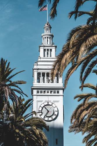 building focus photography of white building under blue sky tower
