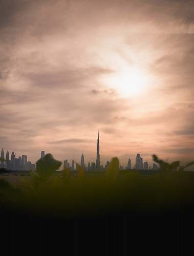 building green-leafed plants with Burj Khalifa view during daytime steeple