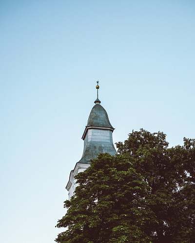 building green leafed trees near white building tower