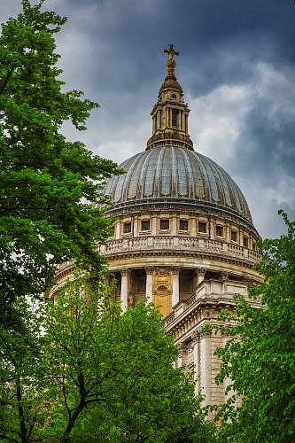 building green trees across gray church dome