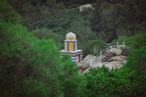 building green trees beside white and blue concrete tower dome