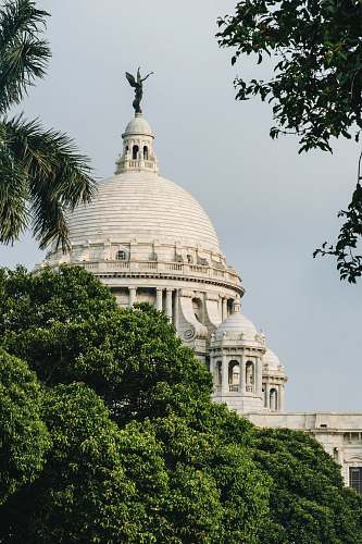 building green trees beside white dome building during daytime dome