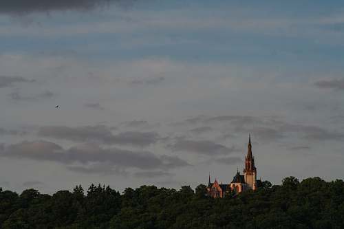 building grey concrete tower at the forest during daytime spire