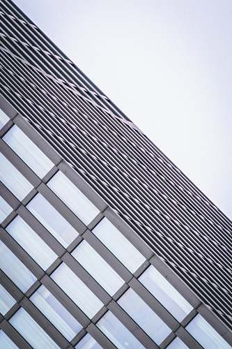 building low-angle photo of high rise building window