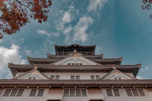building low angle photo of temple pagoda