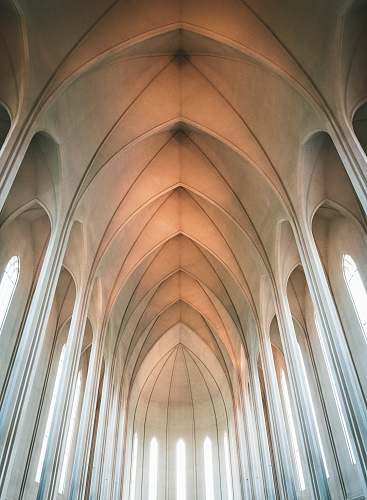 building low-angle photography of concrete building arch