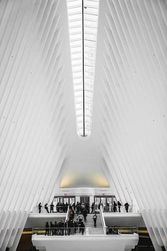 building low-angle photography of people on staircase human