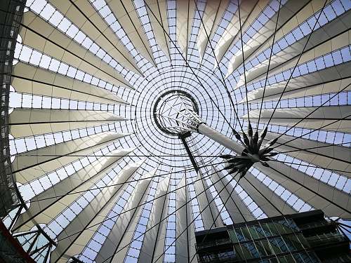 building low-angle photography of white dome building interior window
