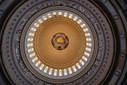 building low-angle photography of white domed building window