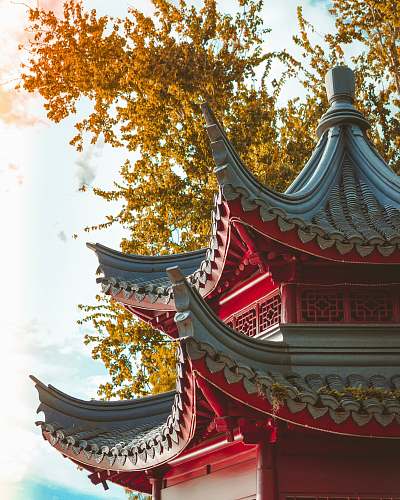 building shallow focus photo of red building pagoda