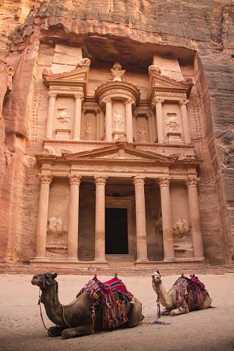 building two camels near brown buildings monastery