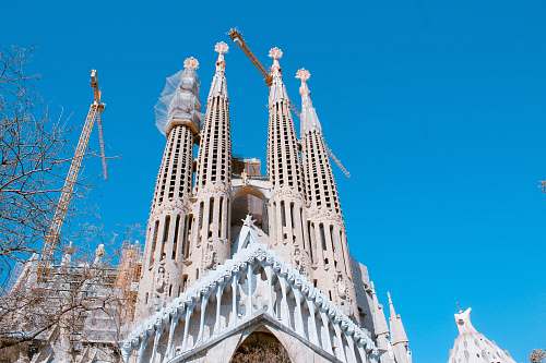 building white and beige cathedral during day spire