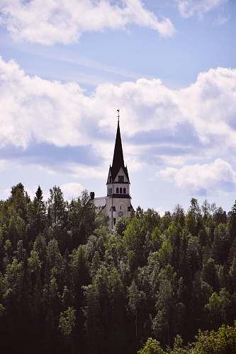 building white and black cathedral near trees during daytime spire