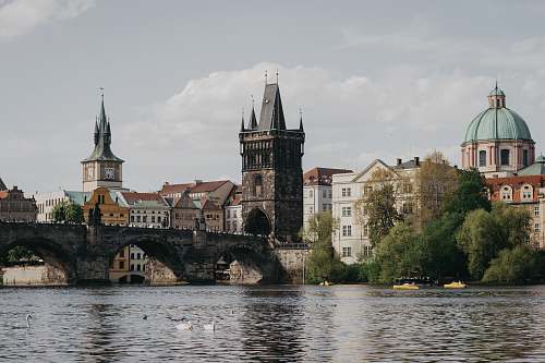 tower white and brown buildings near body of water steeple