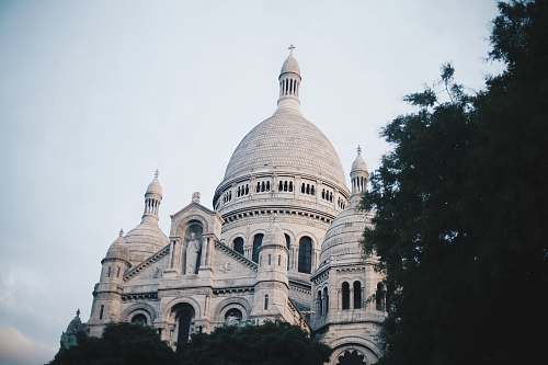 building white cathedral near tree at daytime dome