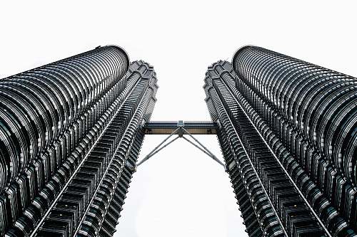 building worms eyeview photography of Petronas Tower during daytime urban