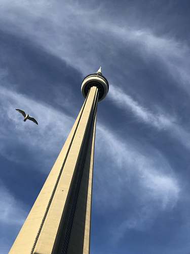 architecture bird flying near white tower during daytime tower