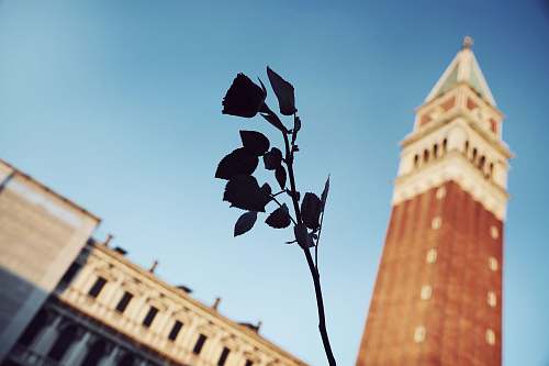 architecture green leaves tower