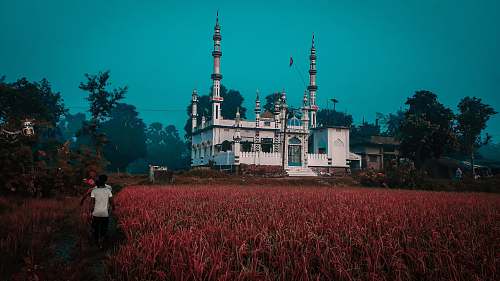architecture group of men walking beside rice field dome