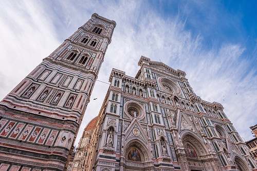 architecture low angle photo of church tower