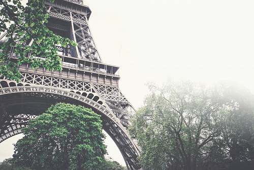 paris low-angle photograph of Eiffel tower france
