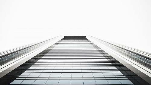 architecture low angle photography of highrise building black-and-white