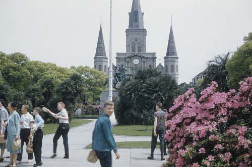 architecture people walking near pink-petaled flower spire