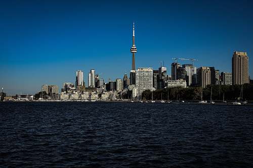 architecture skyline photography of building during daytime spire