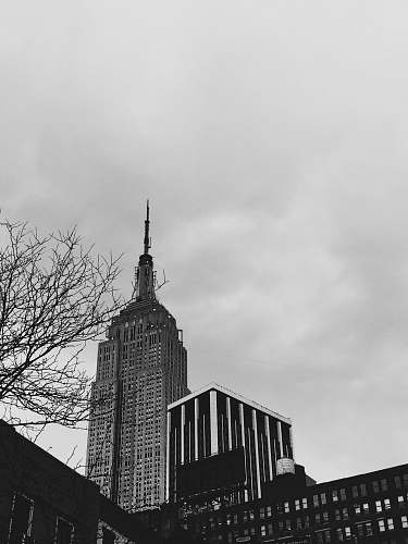 black-and-white grayscale photo of high-rise building tower