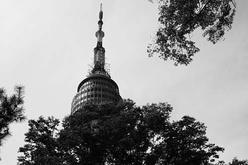 architecture greyscale photography of building black-and-white