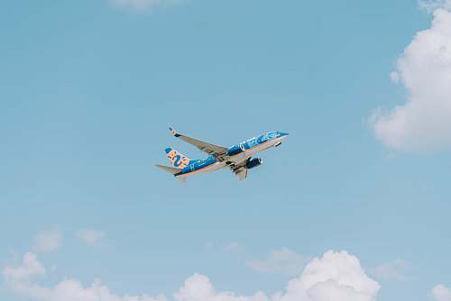 aircraft blue and white airplane biplane