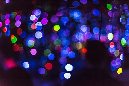 invertebrate bokeh photography jellyfish