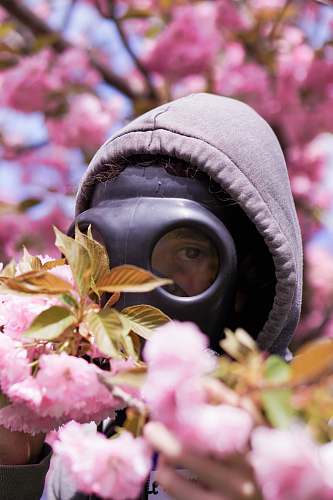clothing unknown person wearing black mask blossom