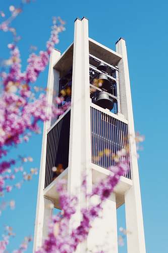 building white high rise building tower