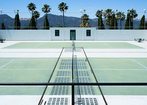 flora tennis court 3D illustration tennis court