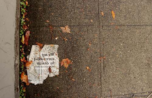 tarmac we are surrounded by design-printed newspaper on ground near dried leaves capitol hill