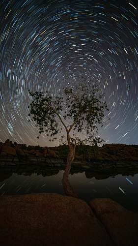 universe time lapse photography of tree space