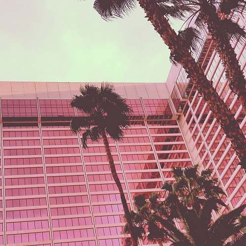 handrail palm trees near building las vegas