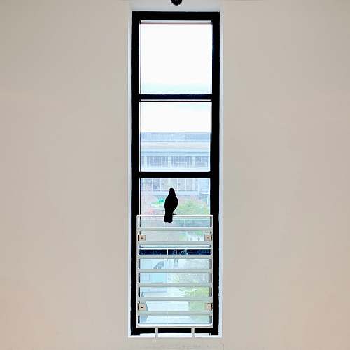 window man in black shirt standing in front of window san francisco museum of modern art