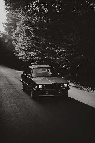 car grayscale photo of BMW coupe near black trees automobile