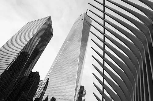 building grayscale photo of high rise buildings office building
