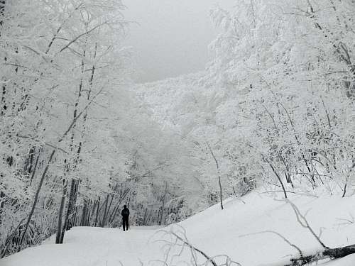 grey man walking on snow covered hills during daytime snow