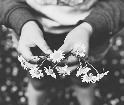 grey person holding white flowers plant