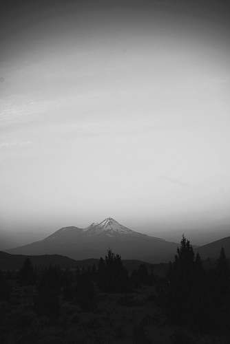 grey snow-covered mountain near pine trees during daytime mount shasta