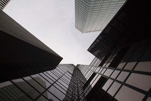 grey worm's eye view of building architecture
