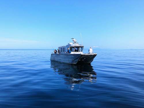 transportation white motorboat on water vehicle