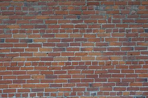 albany view of red brick wall united states