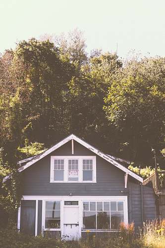 housing black and white house beside trees cottage