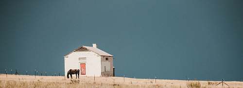 farm brown horse nera white building nature
